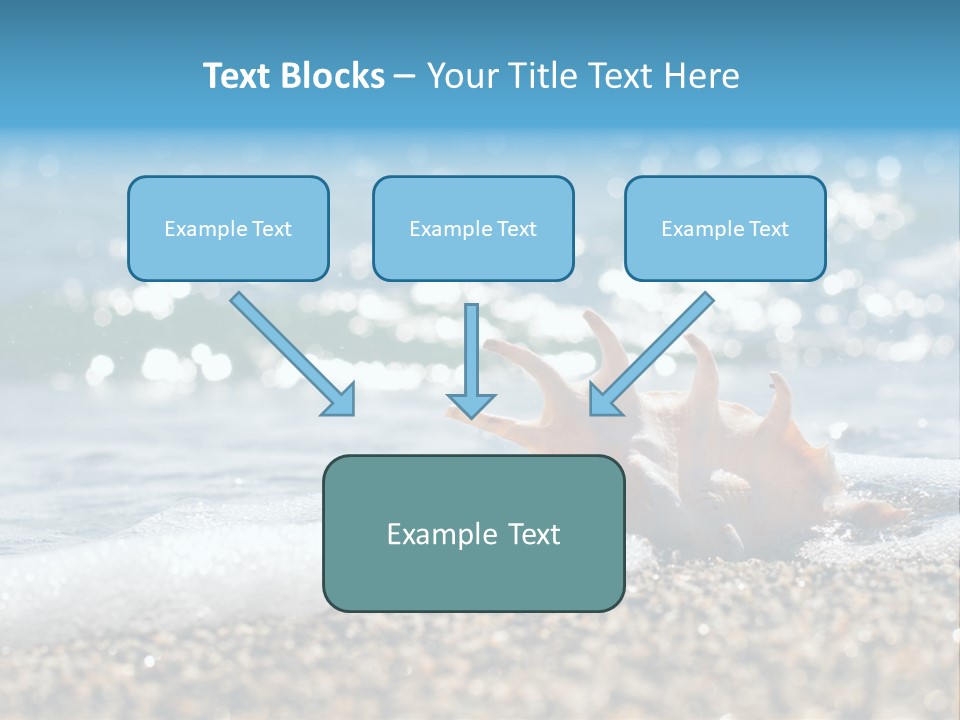 Shells On The Beach PowerPoint Template