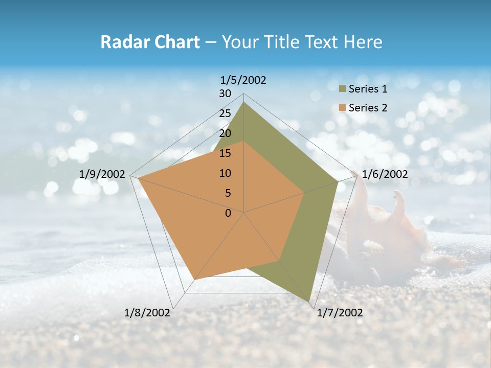 Shells On The Beach PowerPoint Template