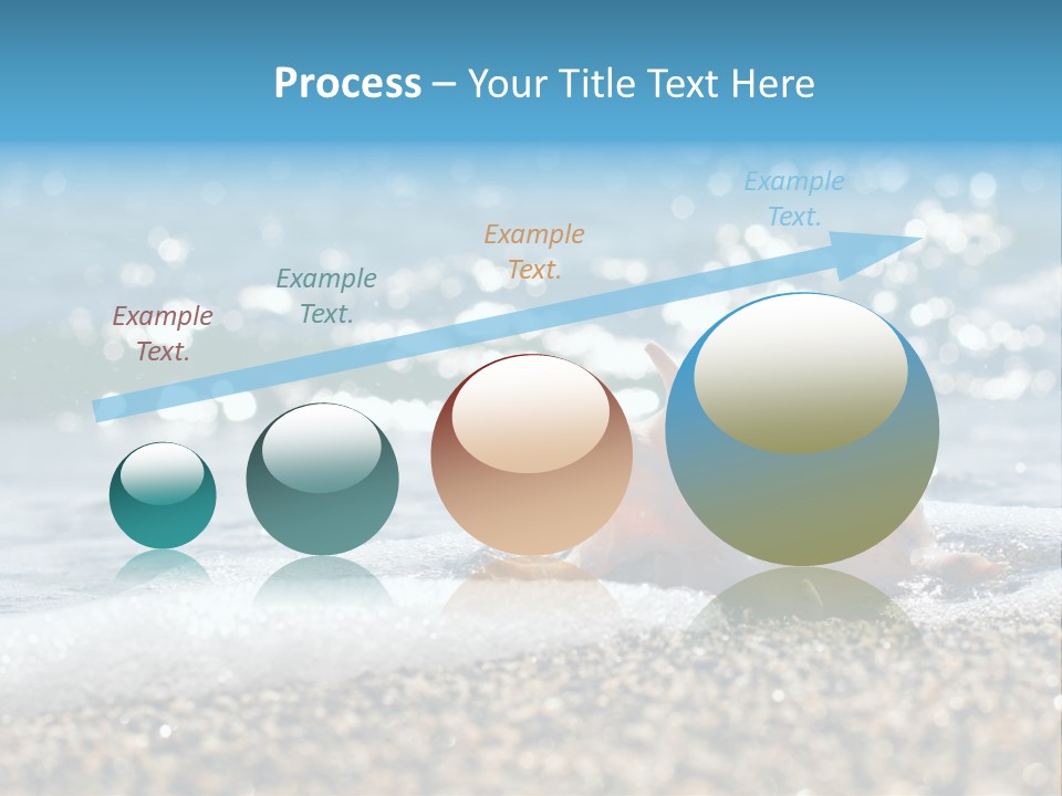 Shells On The Beach PowerPoint Template
