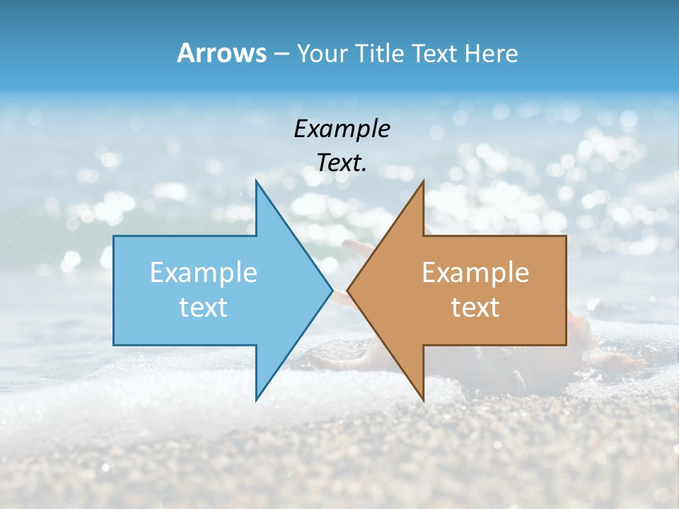 Shells On The Beach PowerPoint Template