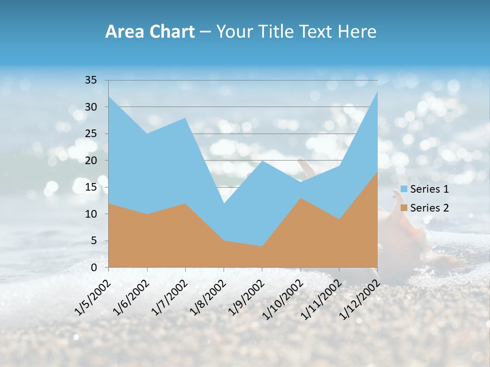 Shells On The Beach PowerPoint Template