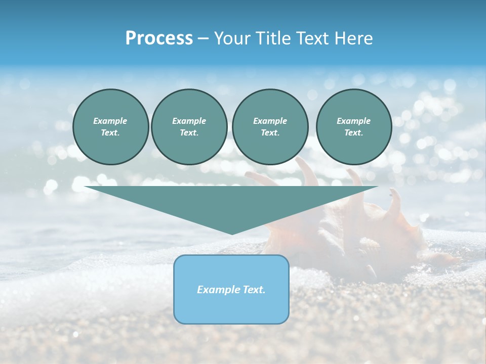 Shells On The Beach PowerPoint Template