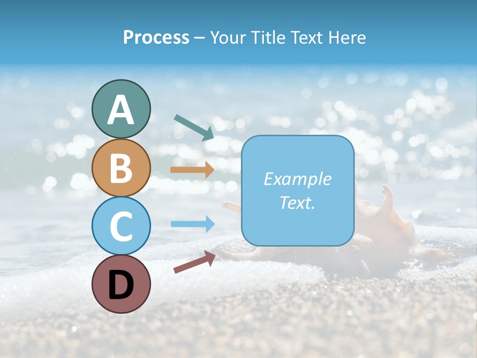 Shells On The Beach PowerPoint Template