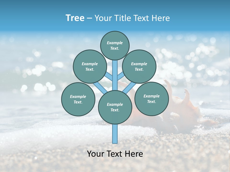 Shells On The Beach PowerPoint Template