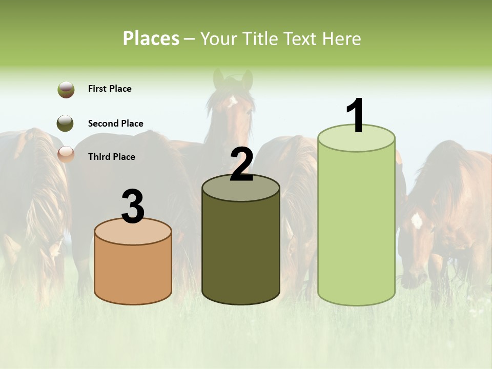 Horses Eating Grass PowerPoint Template