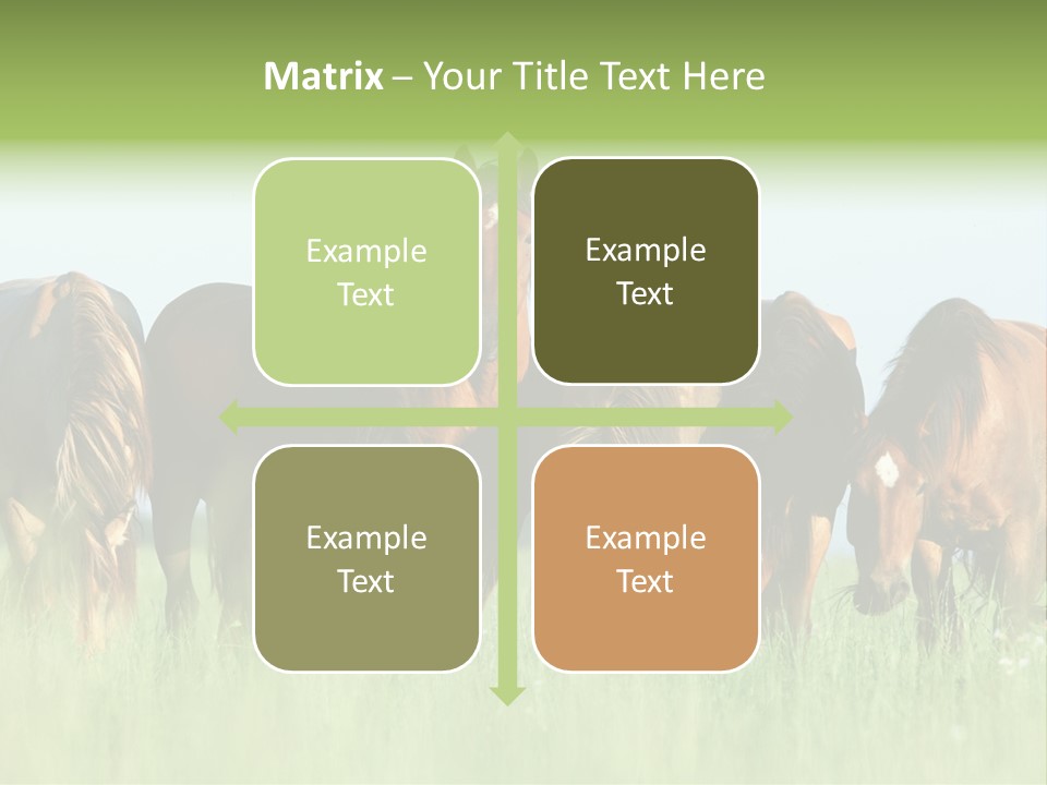 Horses Eating Grass PowerPoint Template