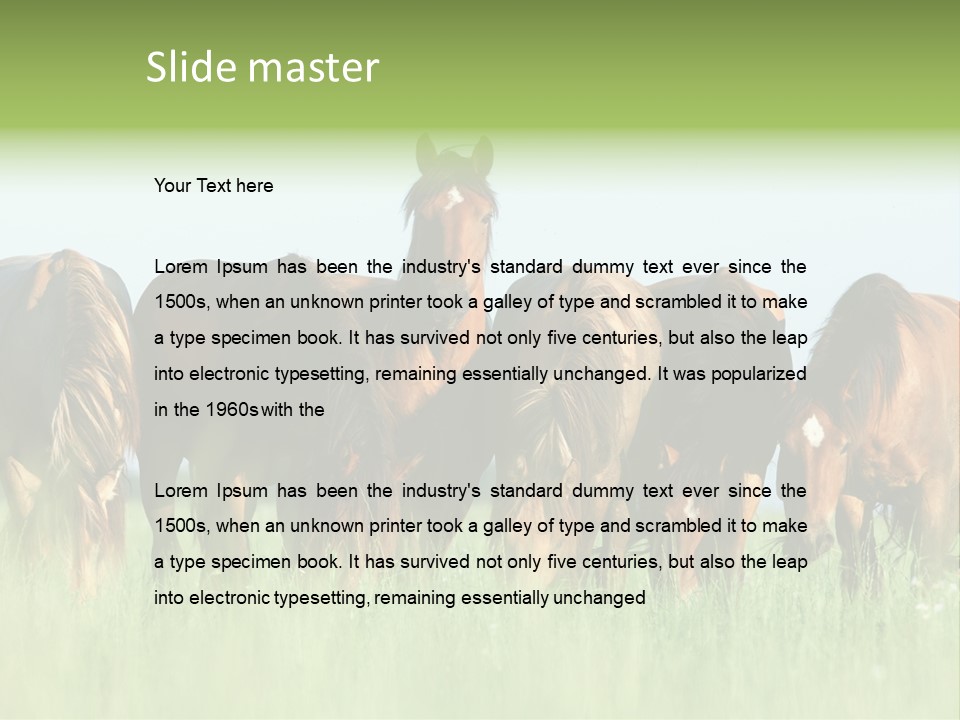 Horses Eating Grass PowerPoint Template