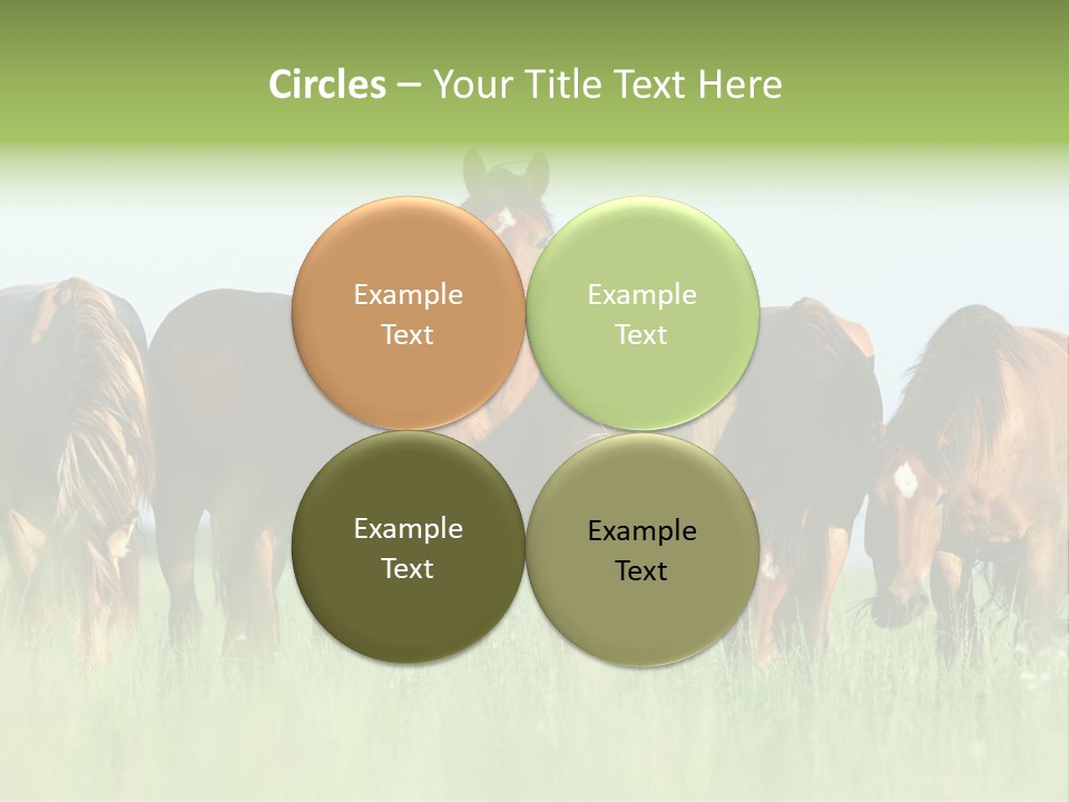 Horses Eating Grass PowerPoint Template