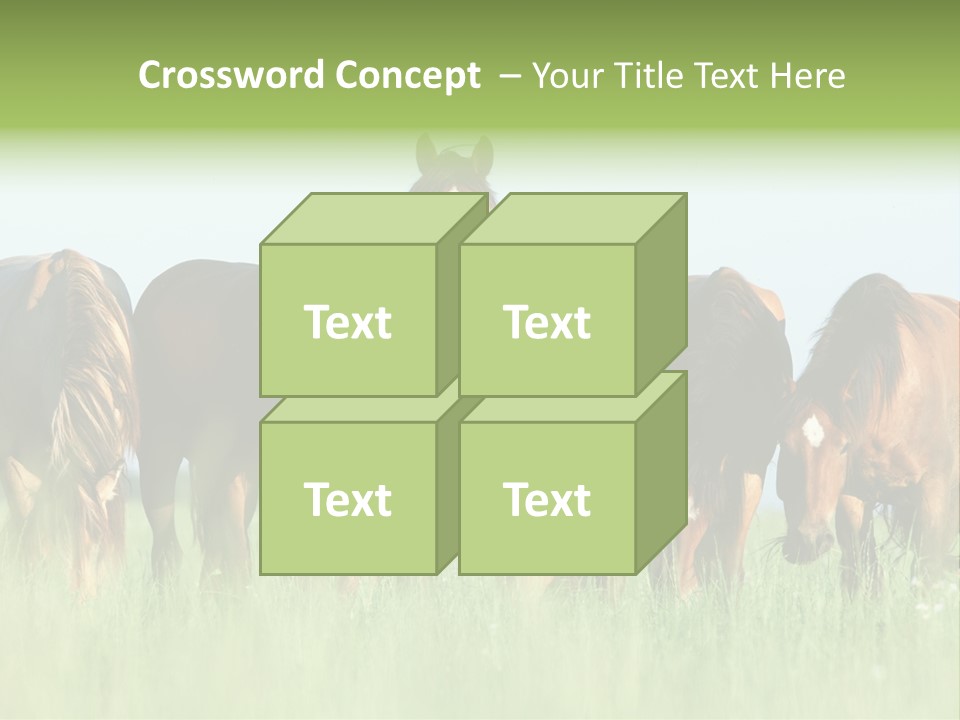 Horses Eating Grass PowerPoint Template