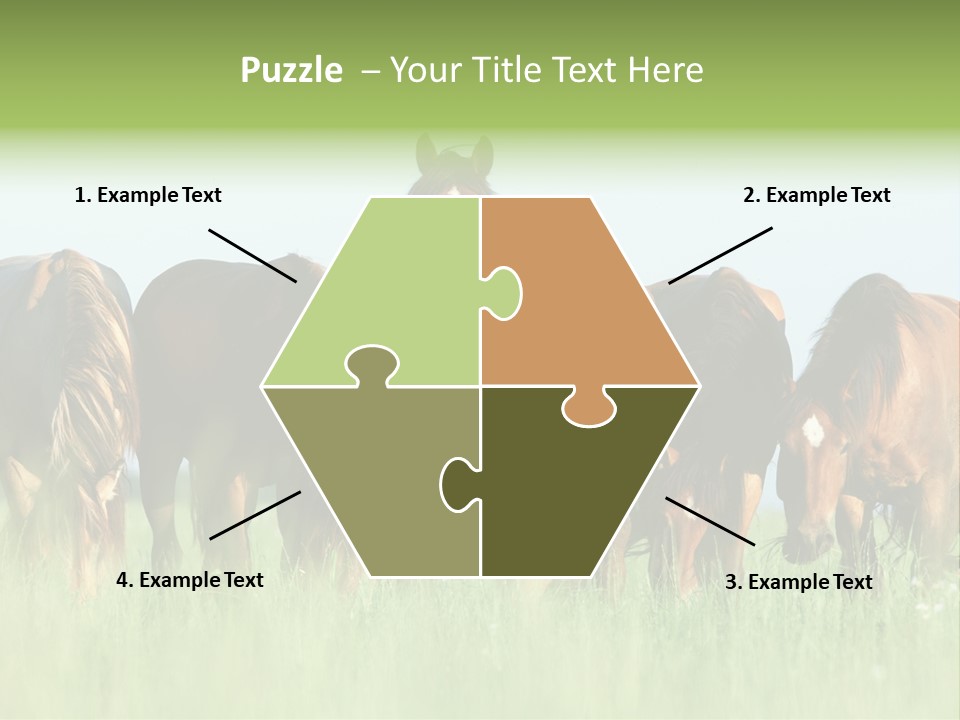 Horses Eating Grass PowerPoint Template