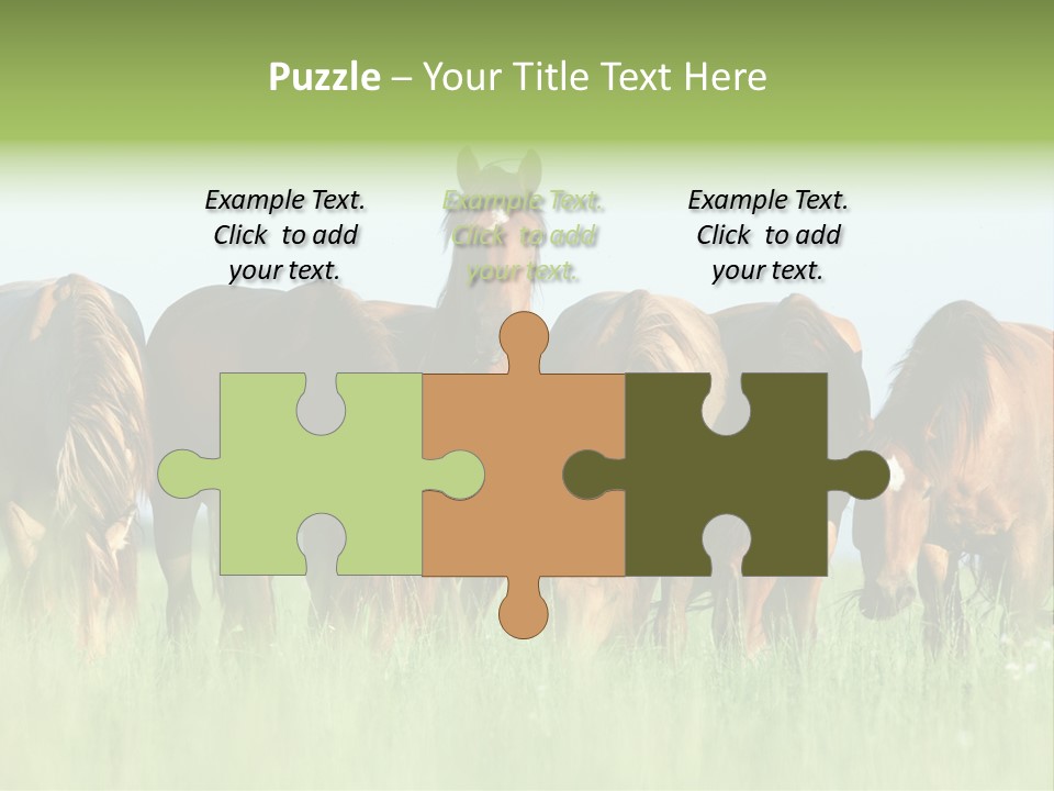 Horses Eating Grass PowerPoint Template
