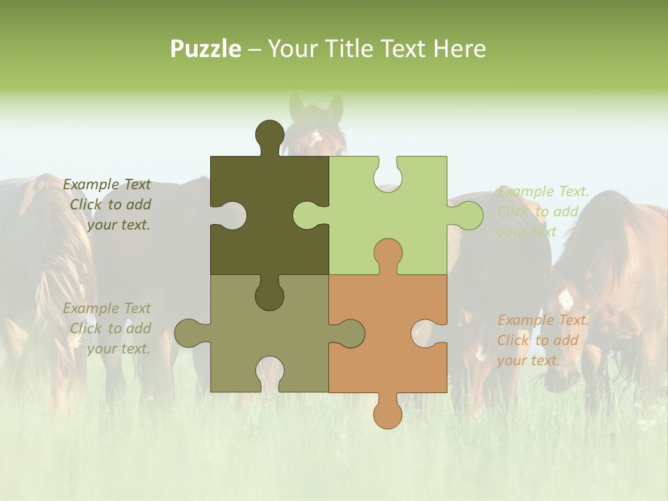 Horses Eating Grass PowerPoint Template