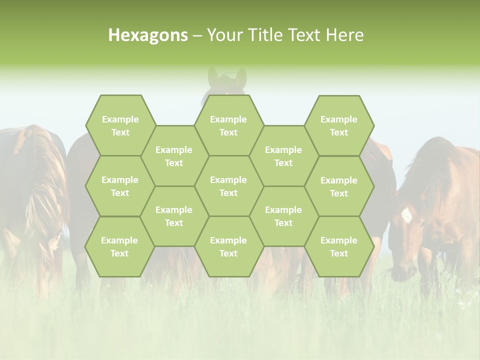Horses Eating Grass PowerPoint Template