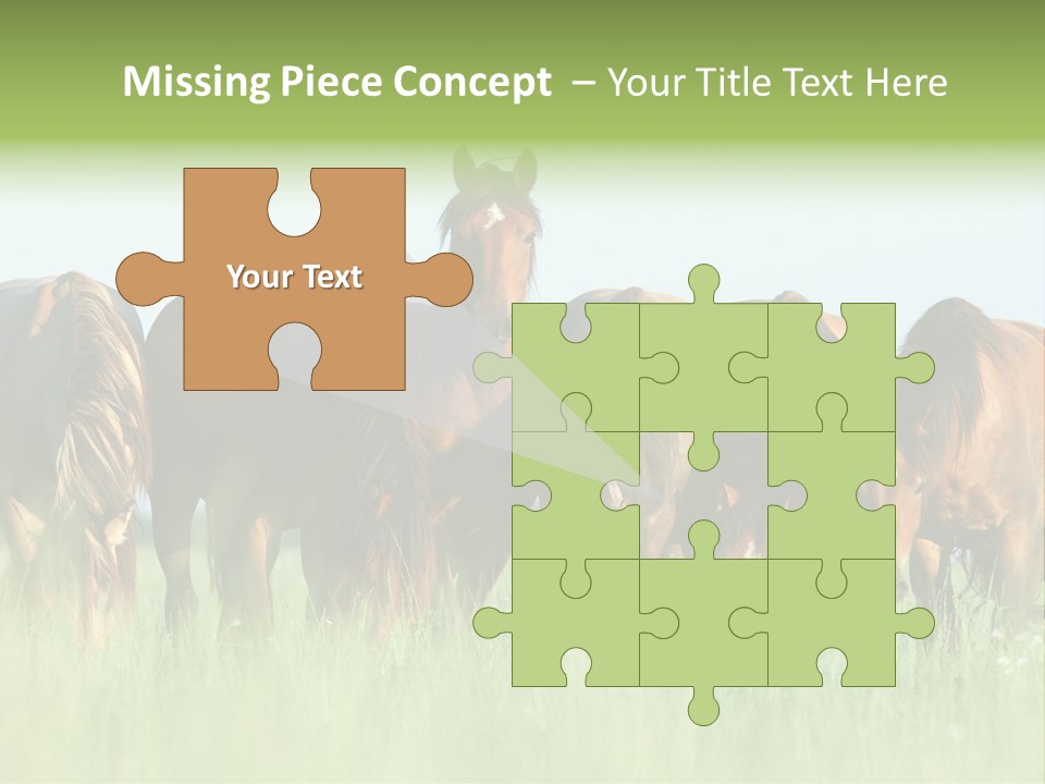 Horses Eating Grass PowerPoint Template