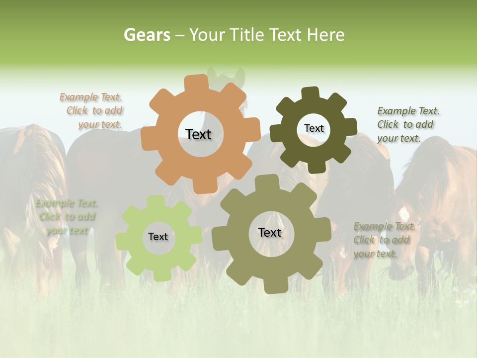 Horses Eating Grass PowerPoint Template