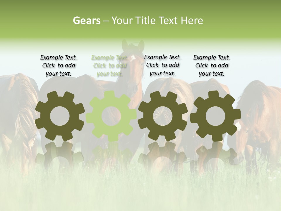Horses Eating Grass PowerPoint Template
