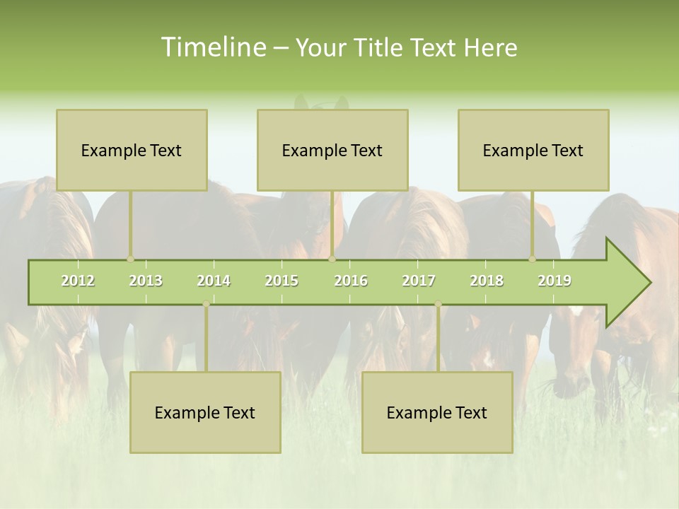 Horses Eating Grass PowerPoint Template