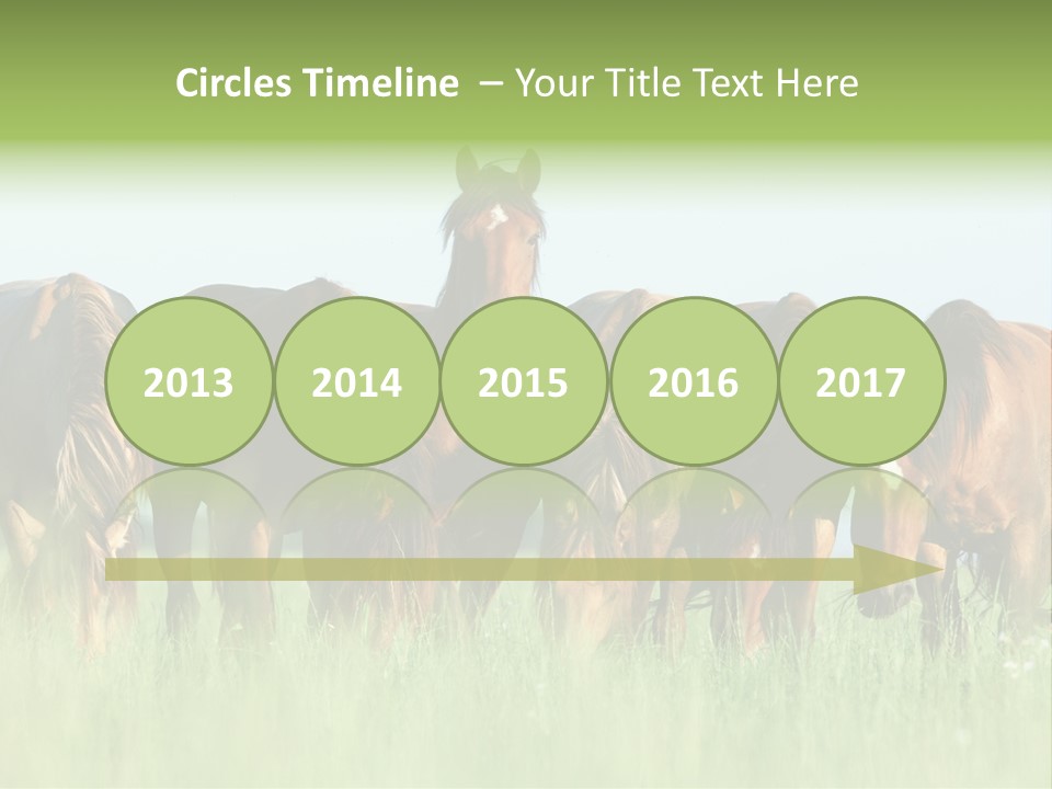 Horses Eating Grass PowerPoint Template