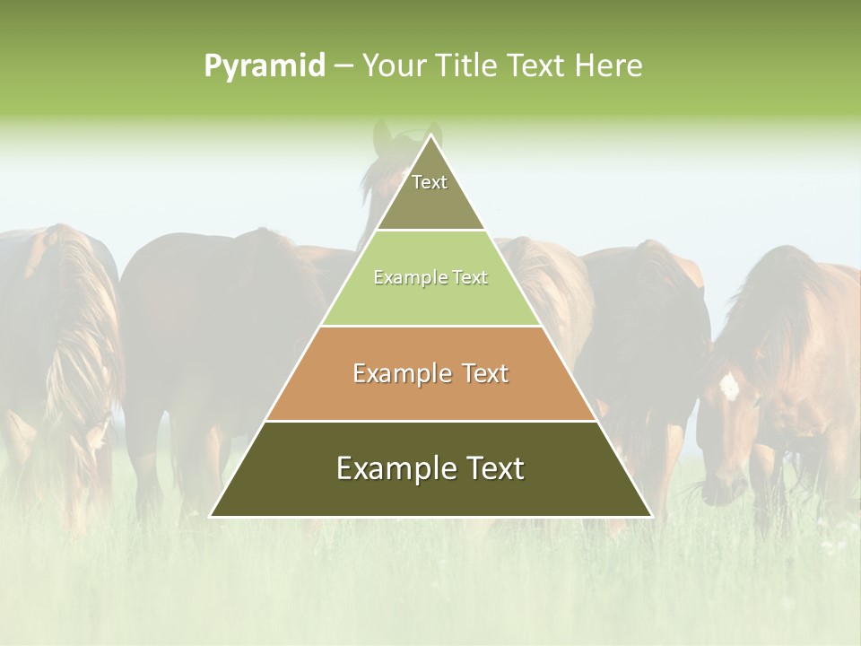 Horses Eating Grass PowerPoint Template