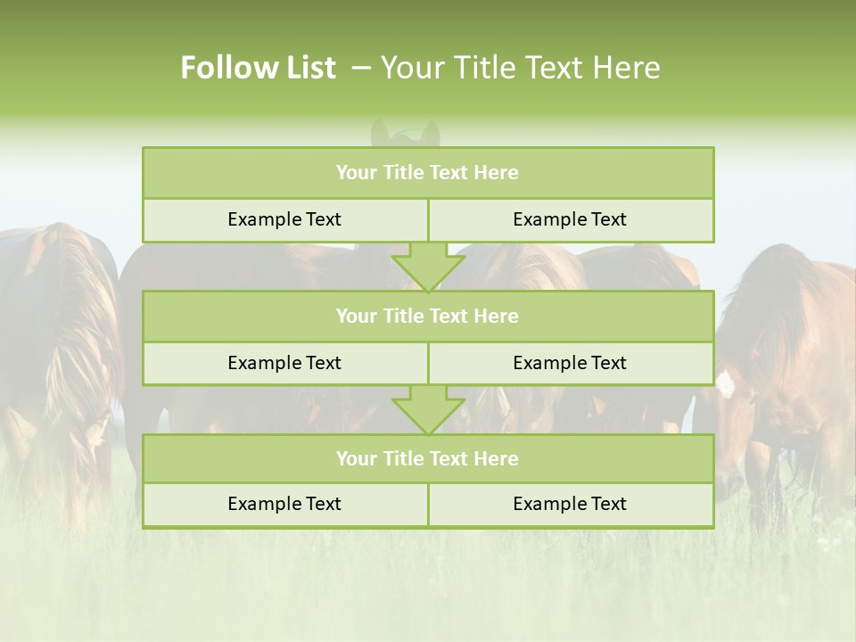 Horses Eating Grass PowerPoint Template