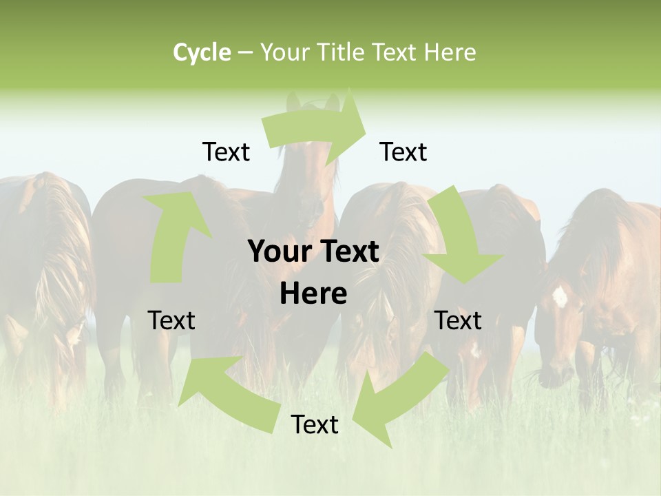 Horses Eating Grass PowerPoint Template
