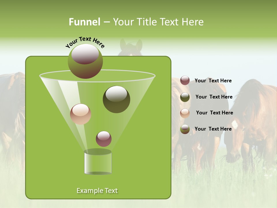 Horses Eating Grass PowerPoint Template