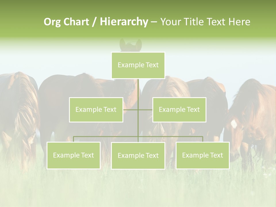 Horses Eating Grass PowerPoint Template