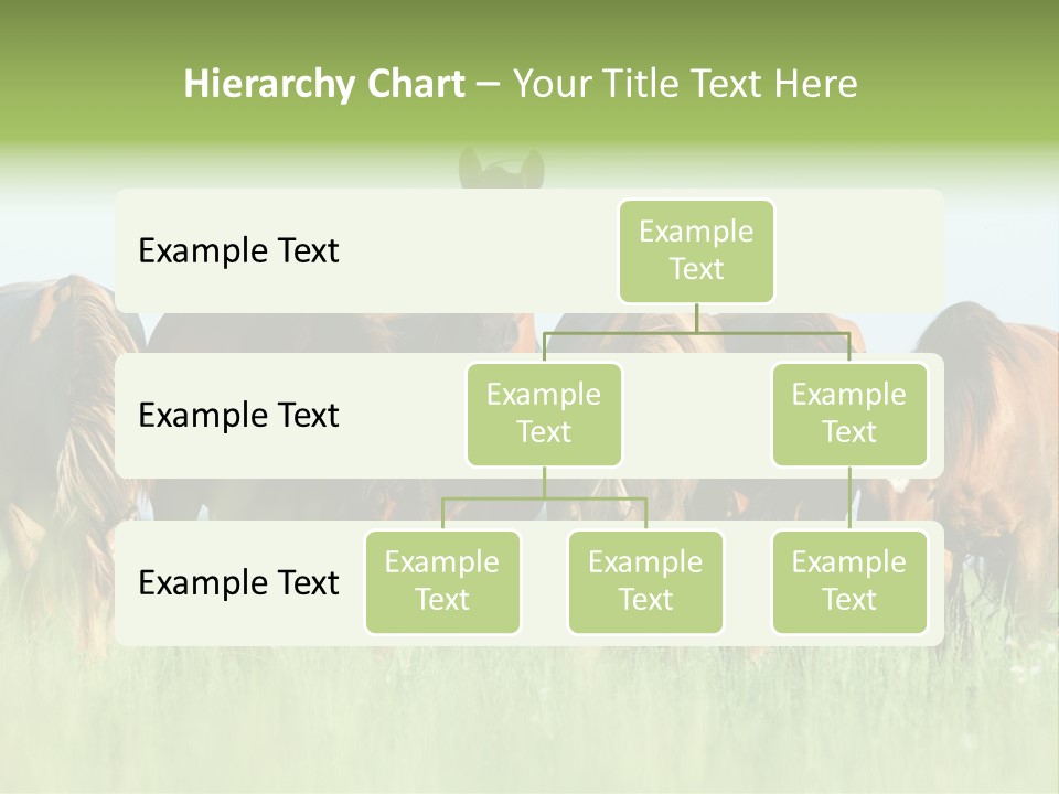 Horses Eating Grass PowerPoint Template
