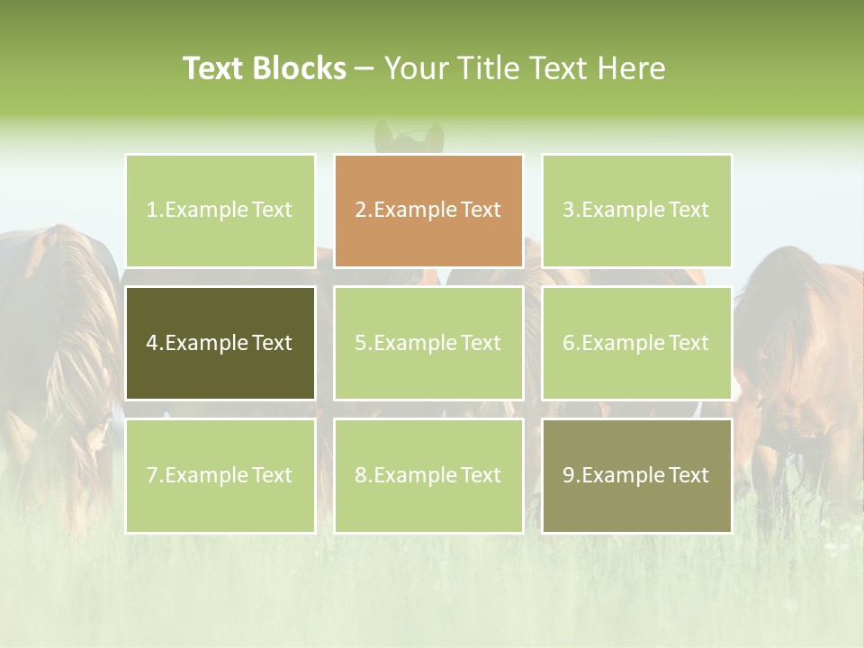 Horses Eating Grass PowerPoint Template