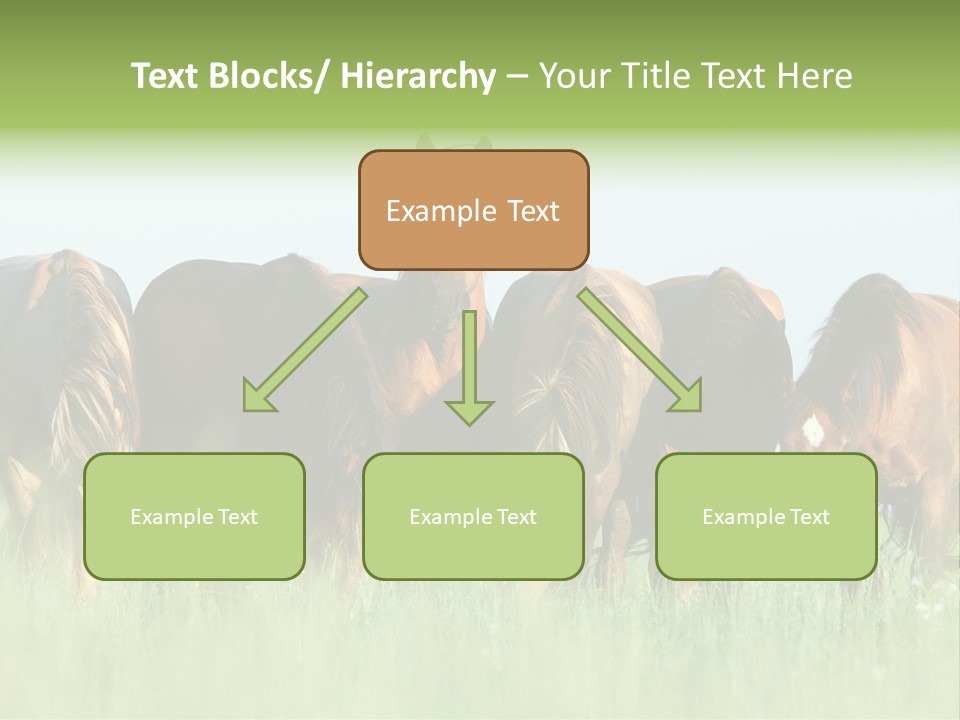 Horses Eating Grass PowerPoint Template