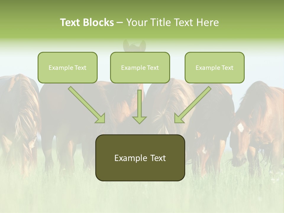 Horses Eating Grass PowerPoint Template