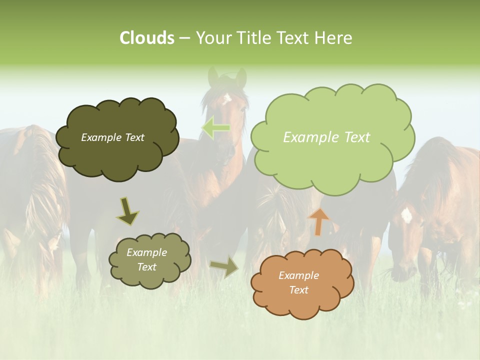 Horses Eating Grass PowerPoint Template