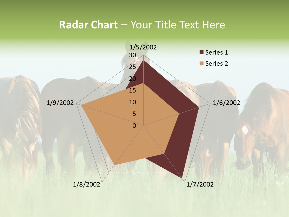 Horses Eating Grass PowerPoint Template