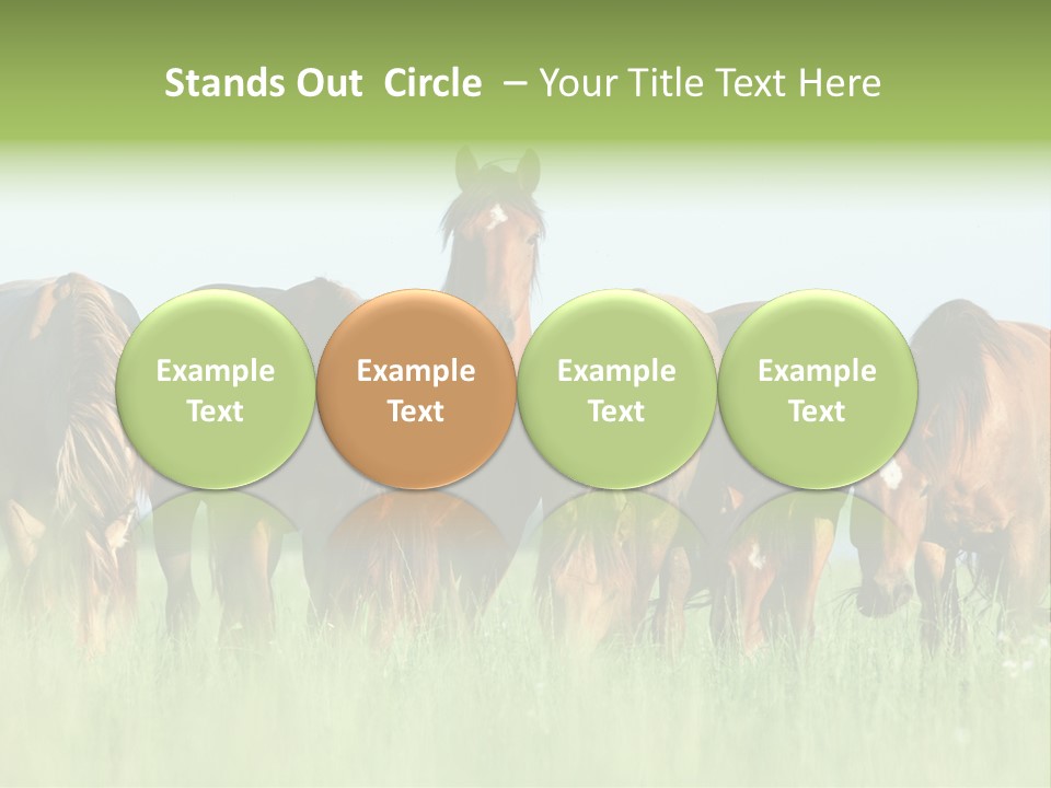 Horses Eating Grass PowerPoint Template