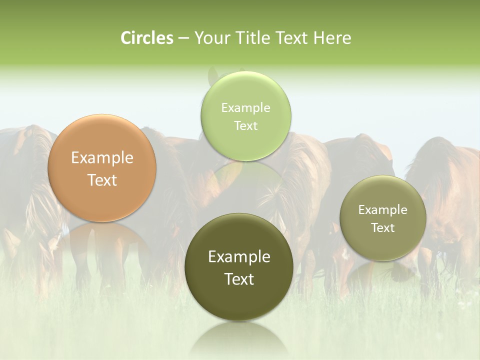 Horses Eating Grass PowerPoint Template