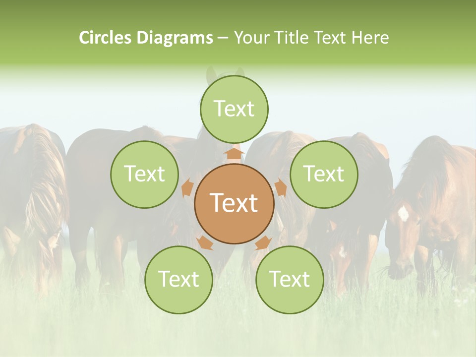 Horses Eating Grass PowerPoint Template