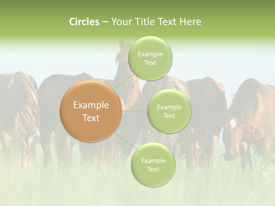 Horses Eating Grass PowerPoint Template