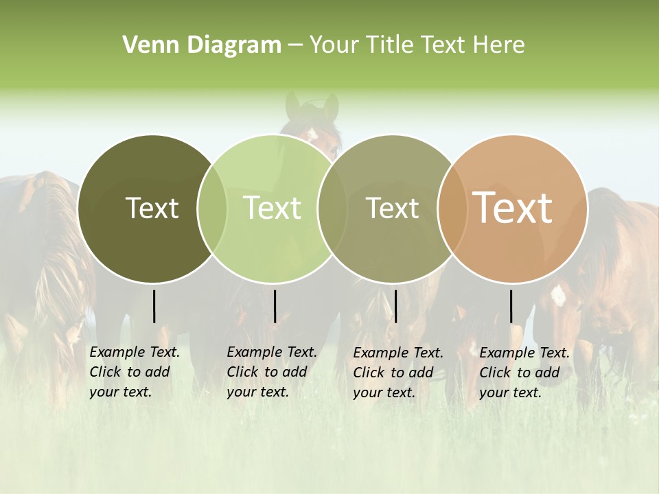Horses Eating Grass PowerPoint Template