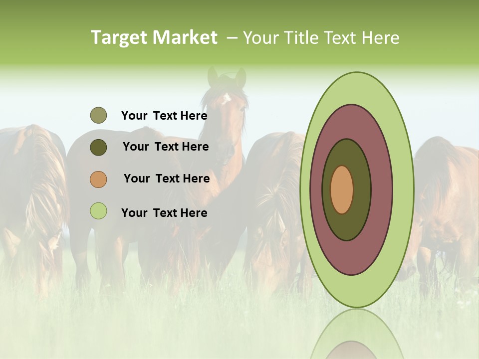 Horses Eating Grass PowerPoint Template