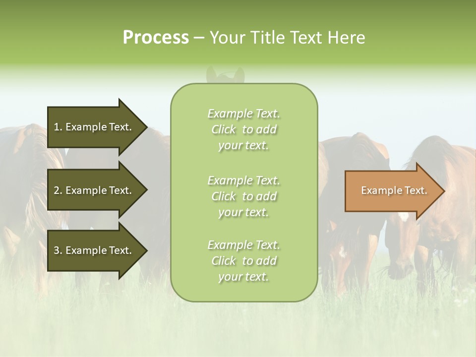 Horses Eating Grass PowerPoint Template