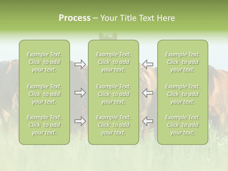 Horses Eating Grass PowerPoint Template