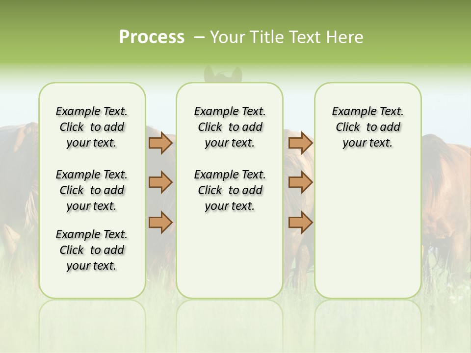 Horses Eating Grass PowerPoint Template