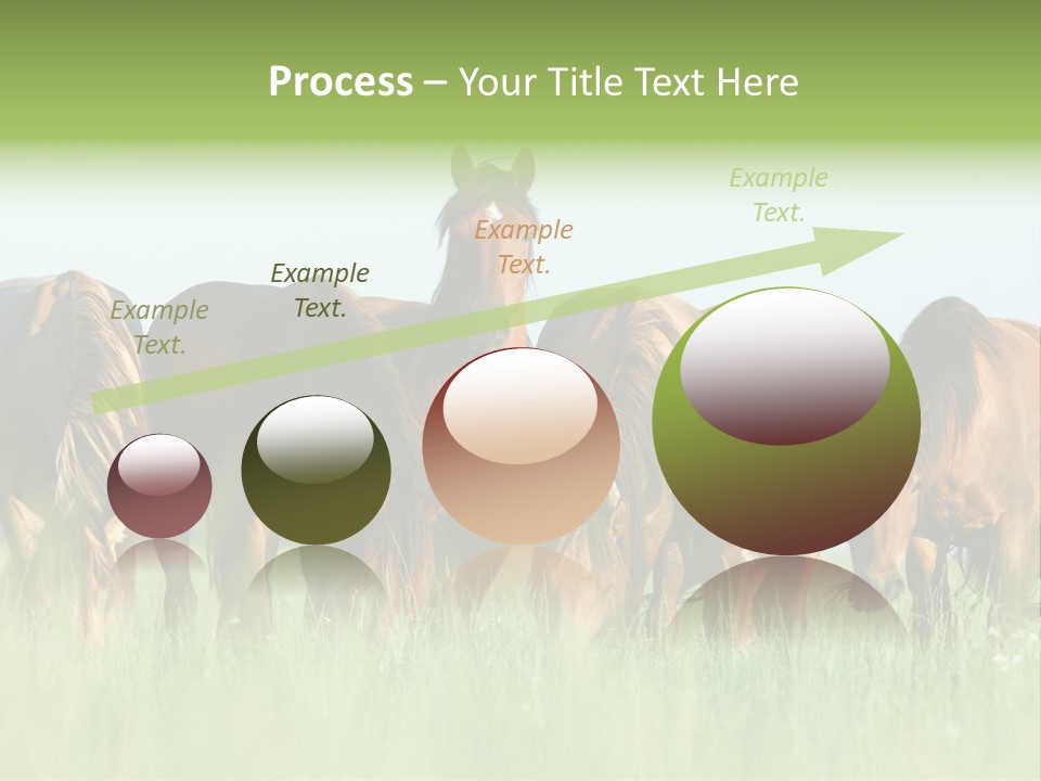 Horses Eating Grass PowerPoint Template