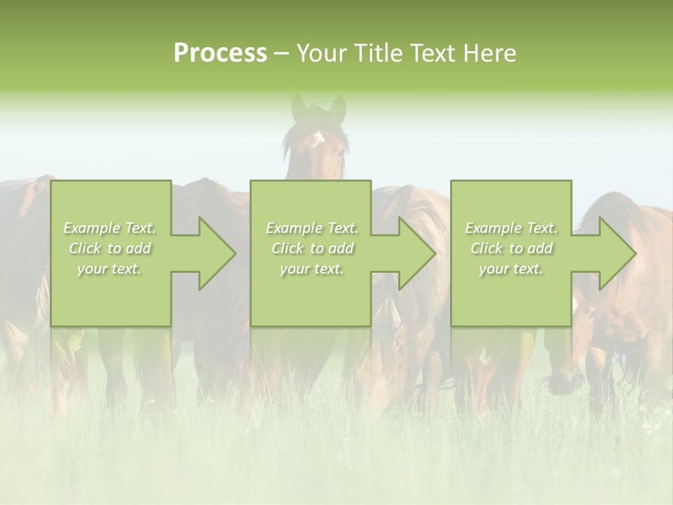 Horses Eating Grass PowerPoint Template