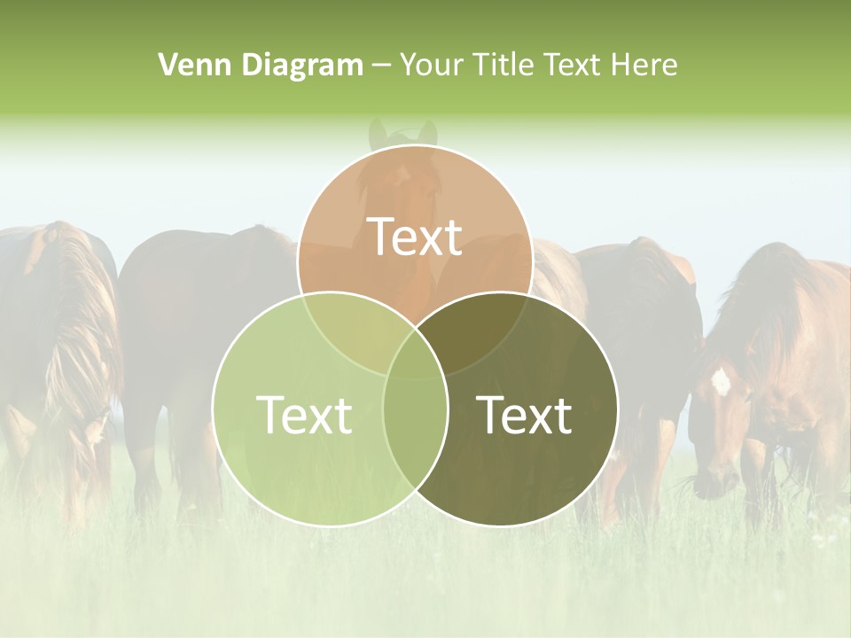 Horses Eating Grass PowerPoint Template