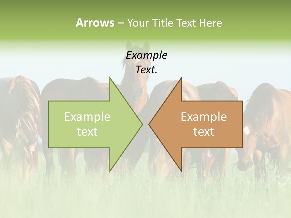 Horses Eating Grass PowerPoint Template