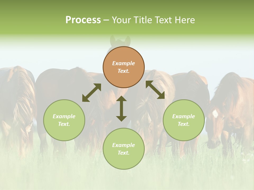 Horses Eating Grass PowerPoint Template
