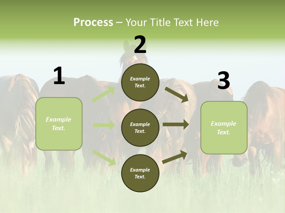 Horses Eating Grass PowerPoint Template