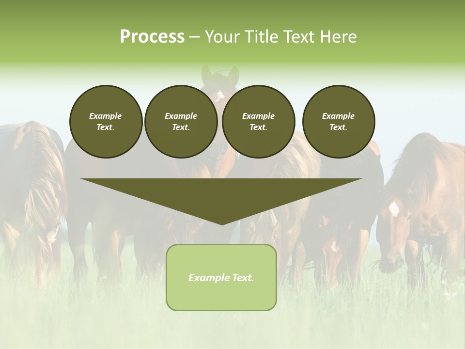 Horses Eating Grass PowerPoint Template
