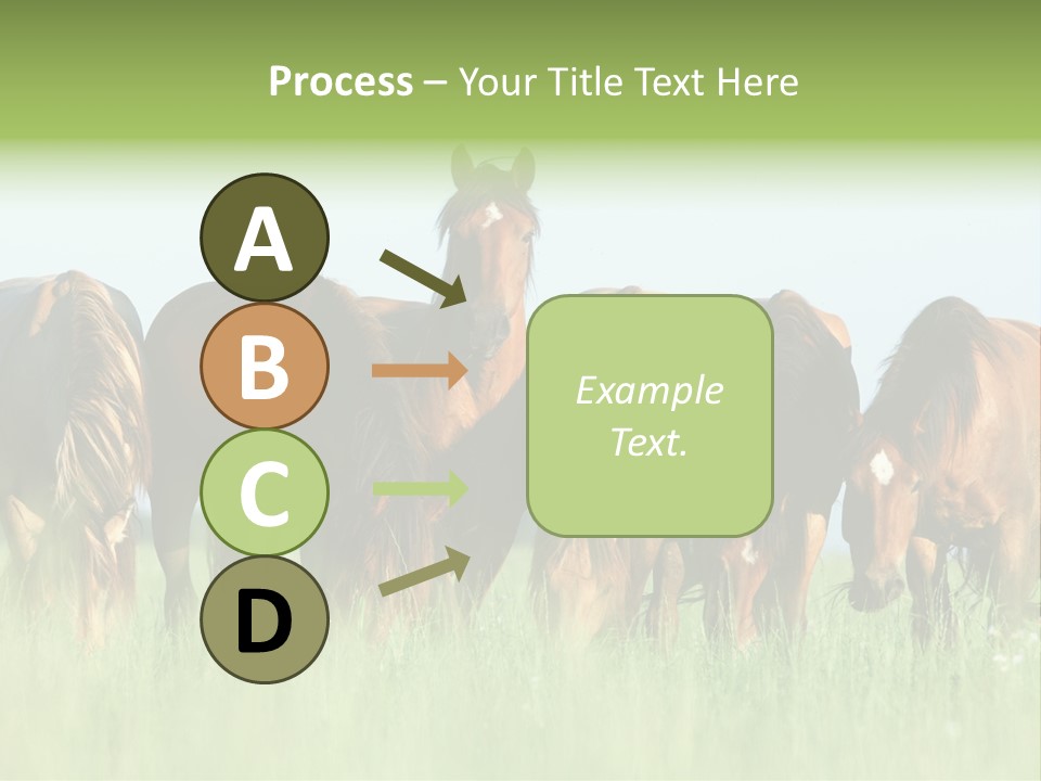 Horses Eating Grass PowerPoint Template